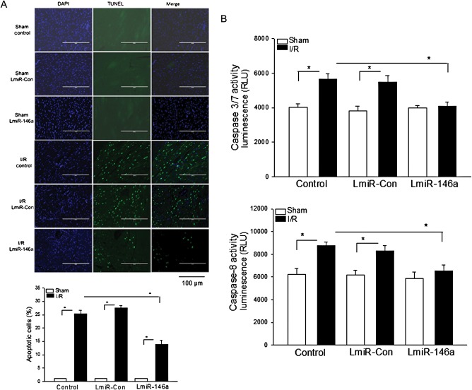 Figure 6