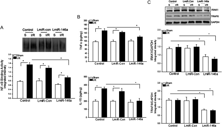 Figure 7