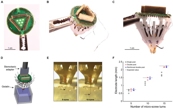 FIGURE 4