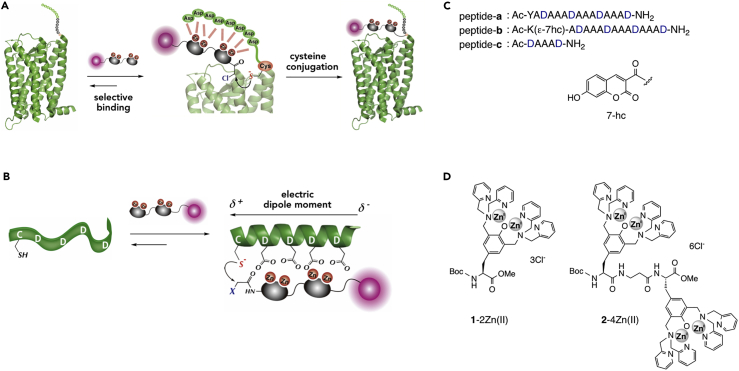 Figure 1