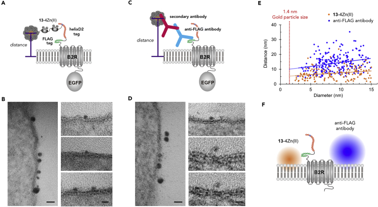 Figure 6