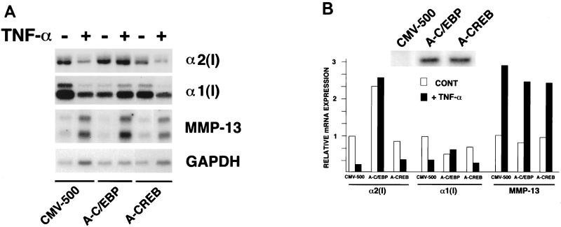 FIG. 6