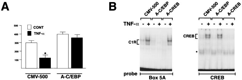 FIG. 7