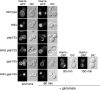 Figure 10.