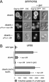 Figure 11.