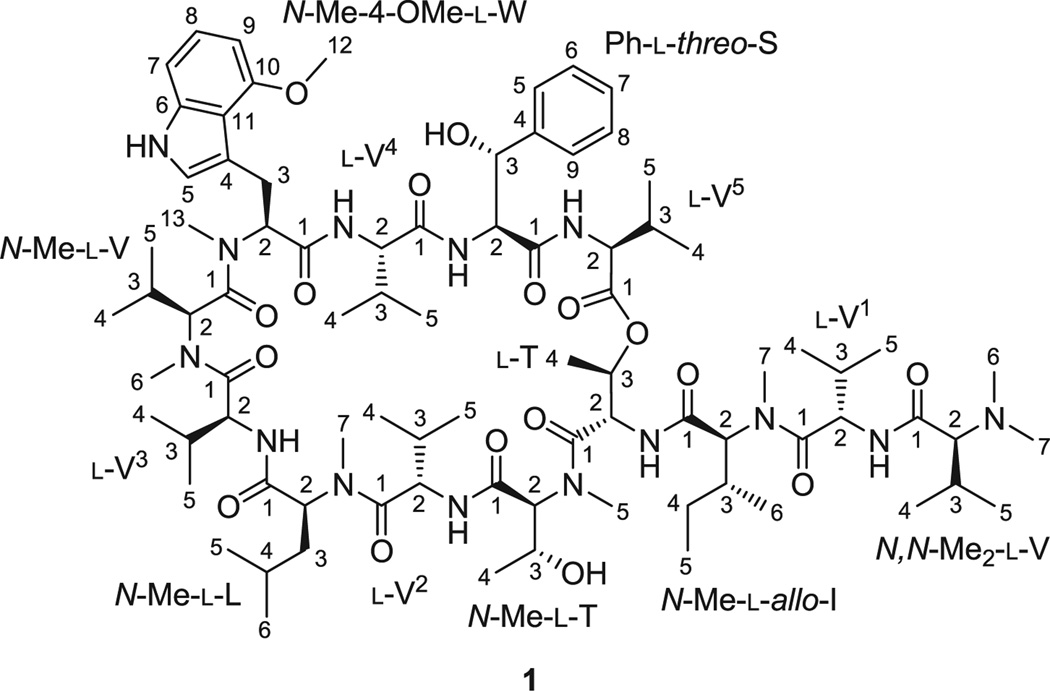 Figure 1