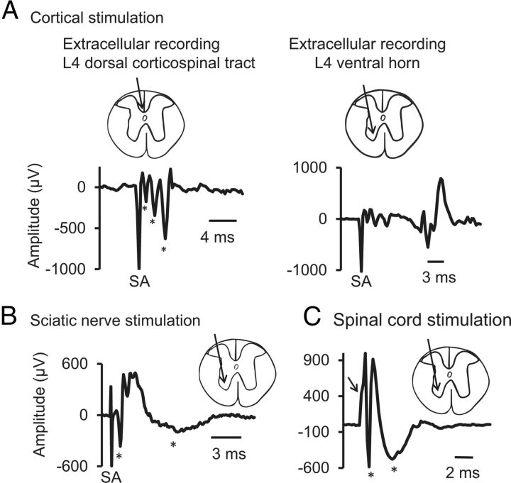 Figure 11.