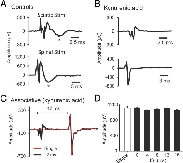 Figure 12.