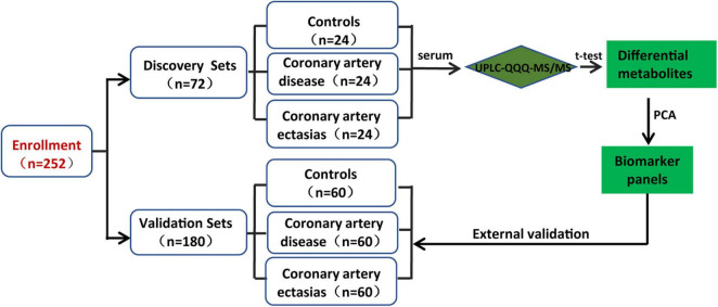 FIGURE 1