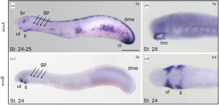 Figure 5. 