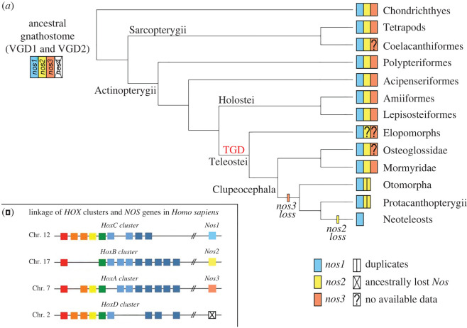 Figure 6. 