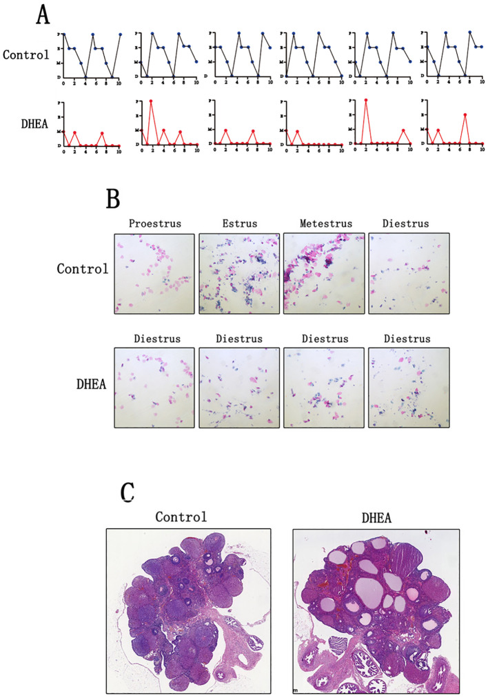 Figure 1
