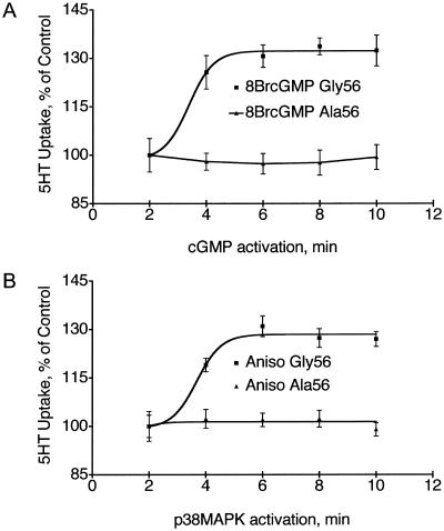 Figure  4