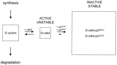 FIG. 7.