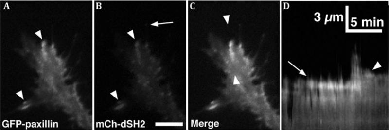 Figure 9