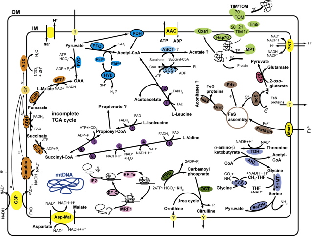 Figure 3