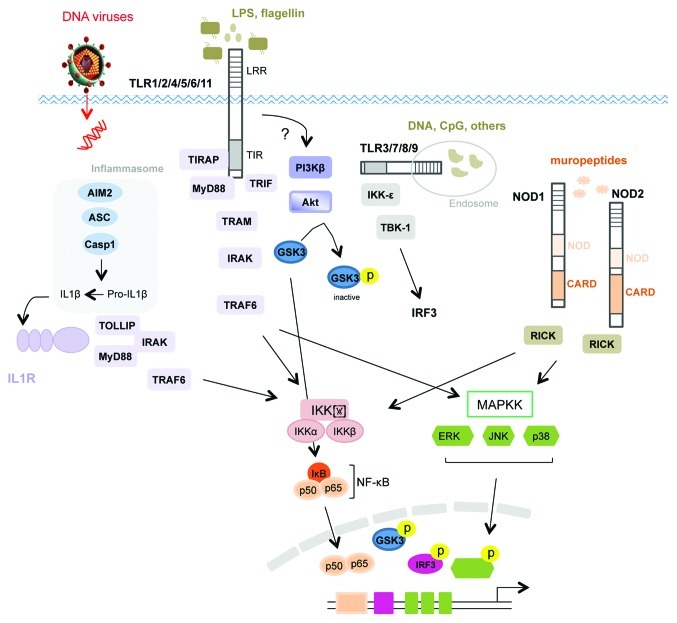 Figure 3. 