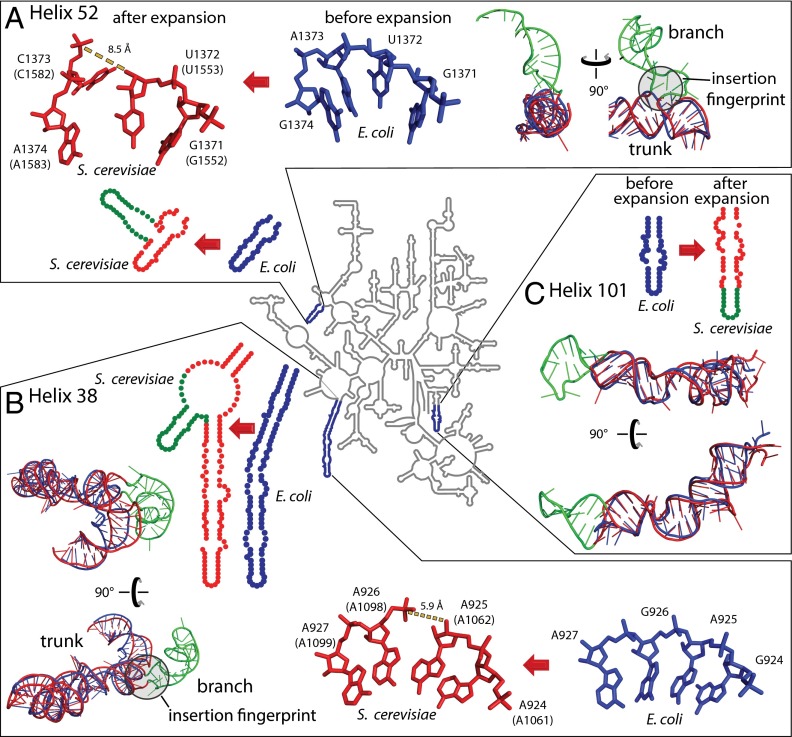 Fig. 4.