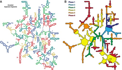 Fig. 6.