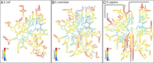 Fig. 2.