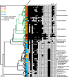 FIG 2