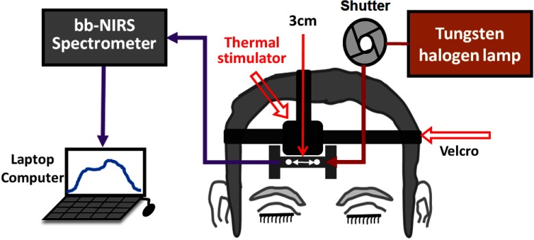 Fig. 3