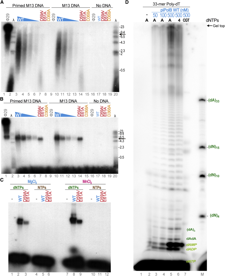 Figure 4