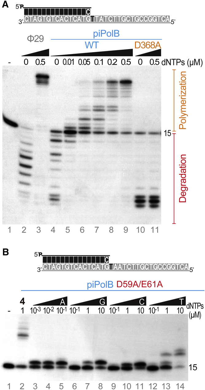 Figure 2