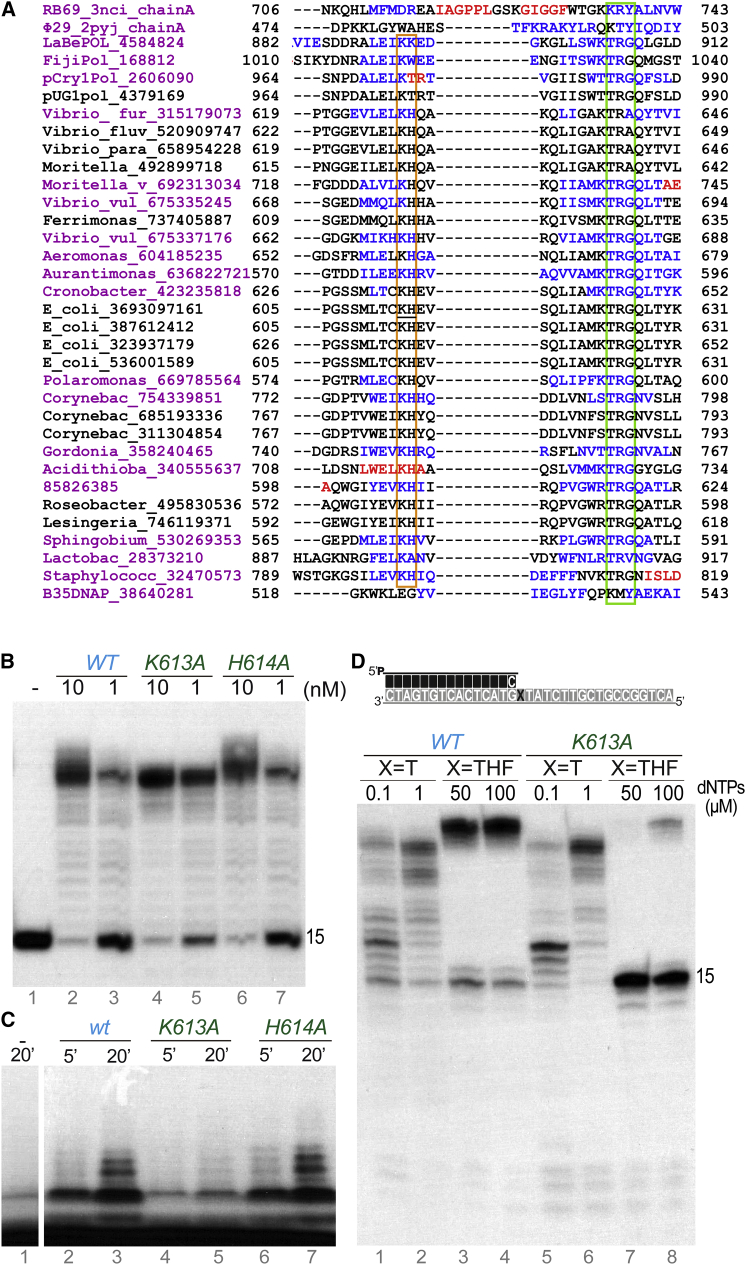 Figure 6