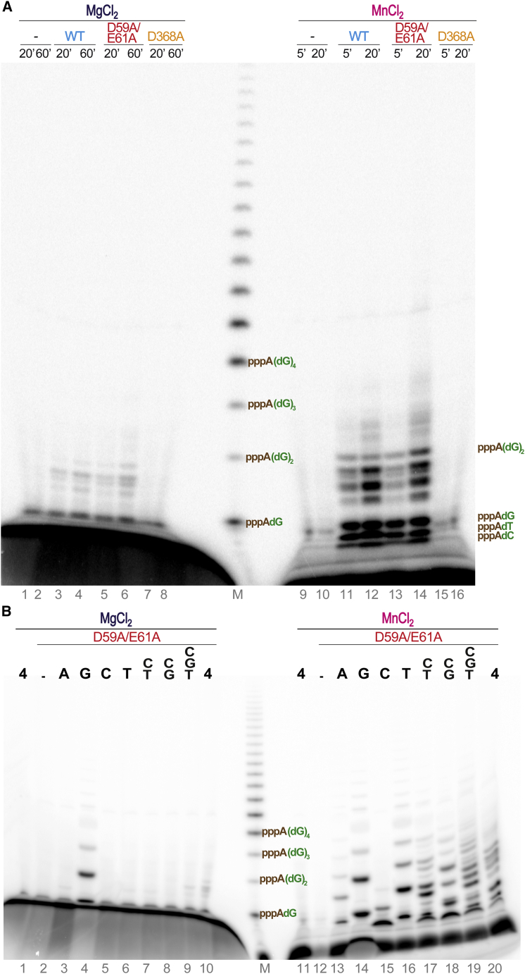 Figure 5