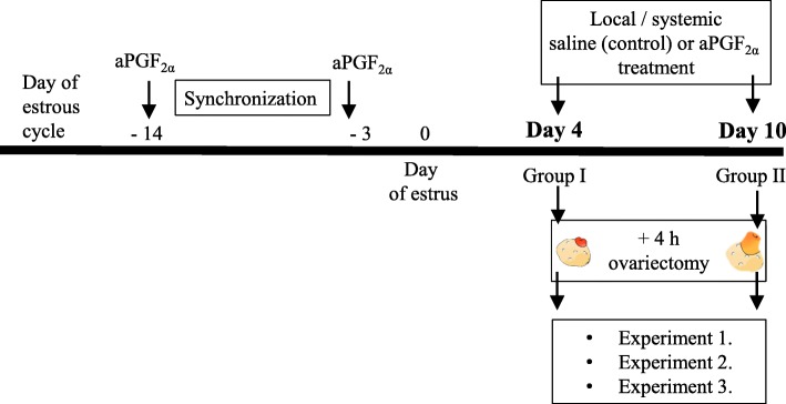 Fig. 11