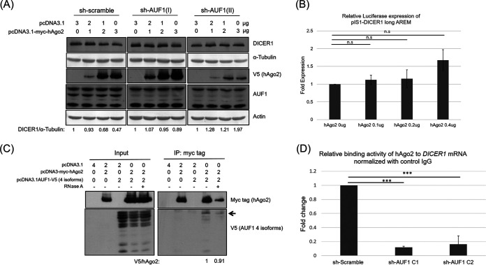 FIG 6