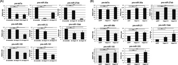 FIG 2