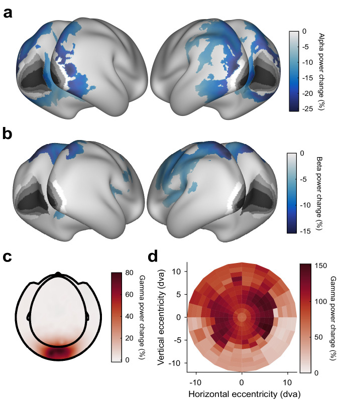 Figure 2—figure supplement 1.