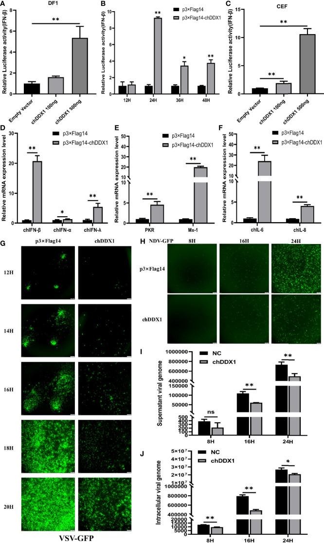 Figure 4