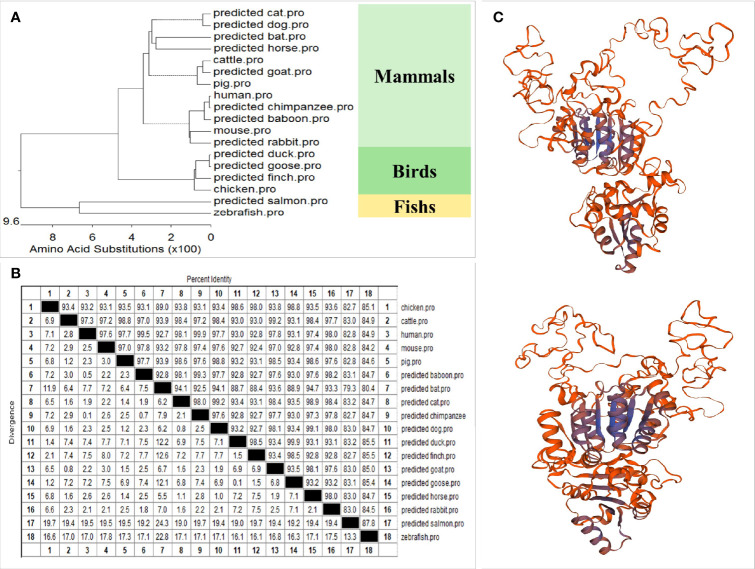 Figure 2