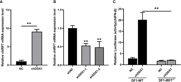 Figure 7