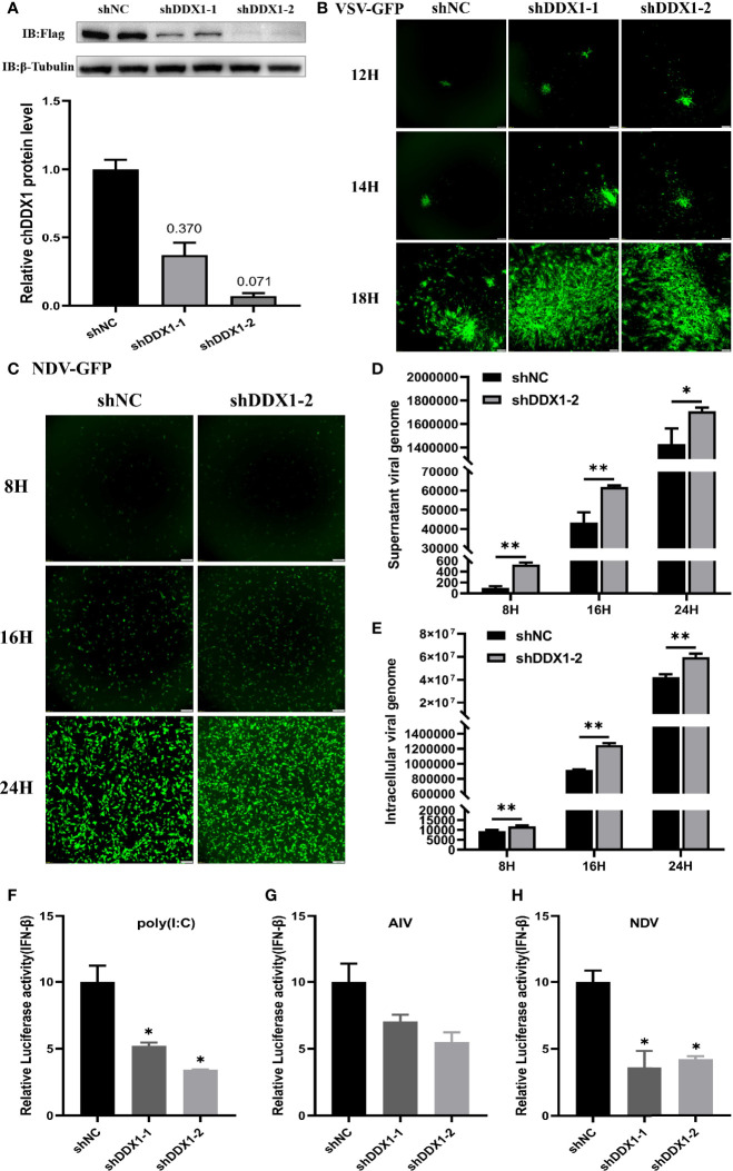 Figure 6