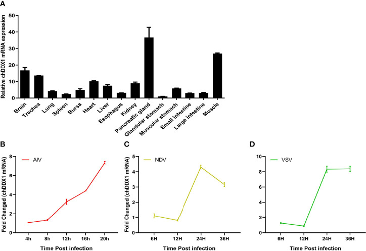 Figure 3