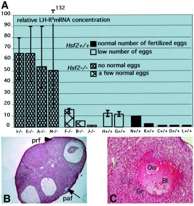 graphic file with name cdf269f8.jpg