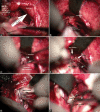 Figure 3: