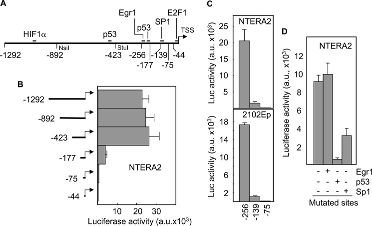 FIGURE 4.