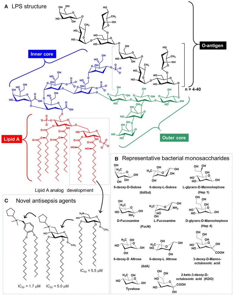 Figure 6