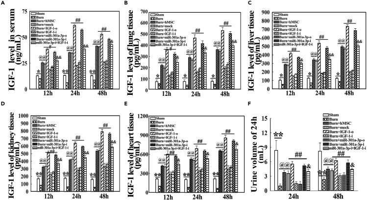 Figure 4