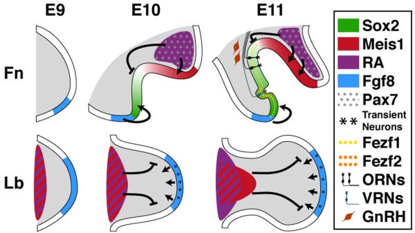 Figure 9