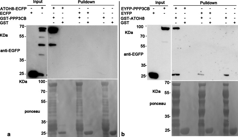 Fig. 4