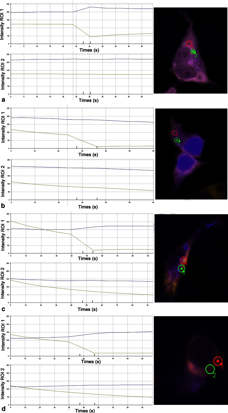 Fig. 3