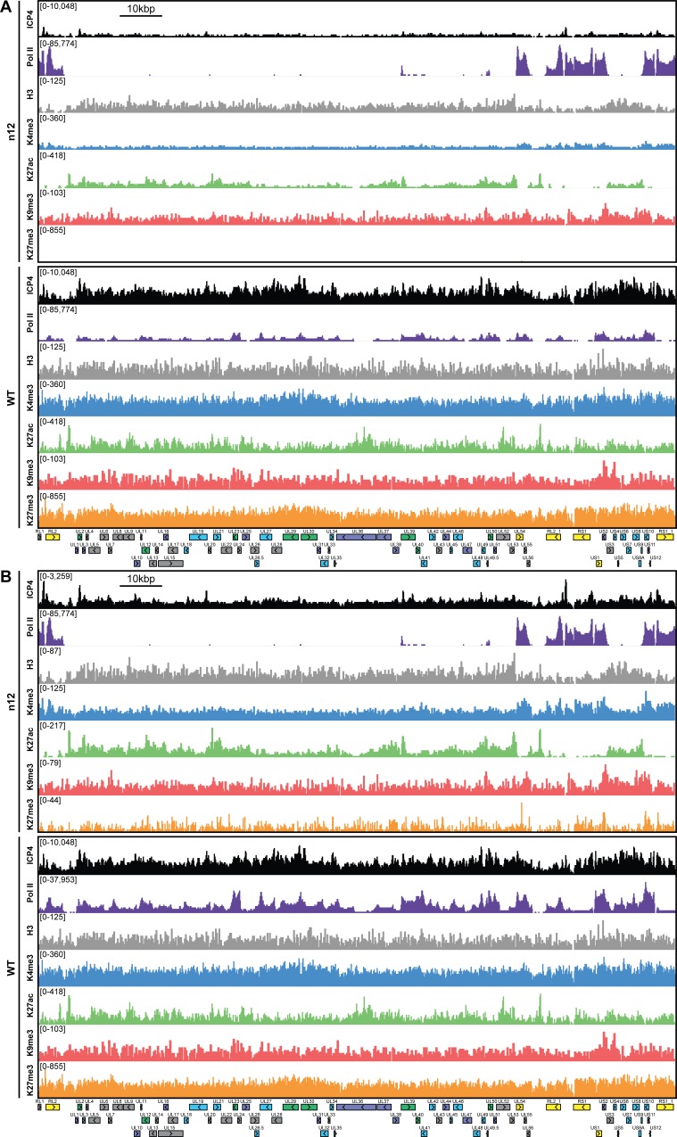 Figure 3—figure supplement 3.