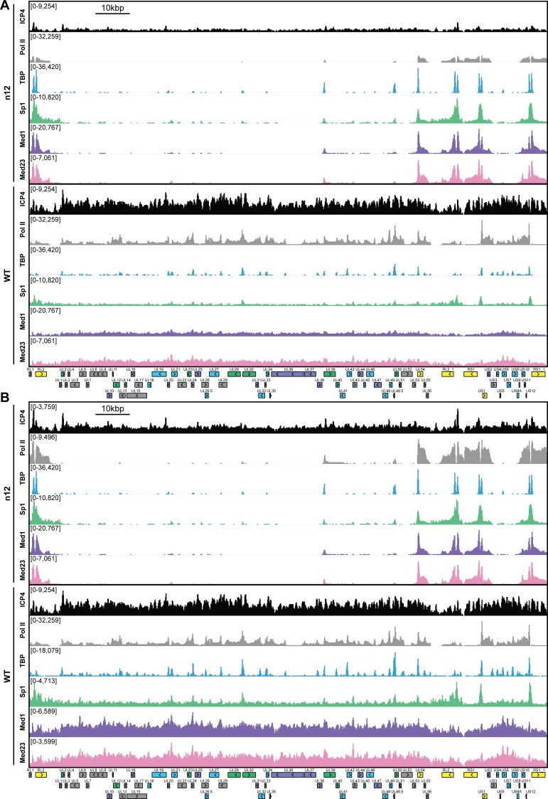 Figure 2—figure supplement 1.