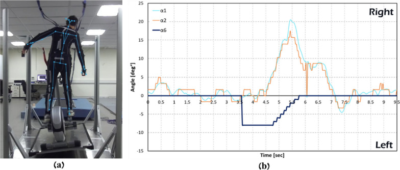 Fig. 8.
